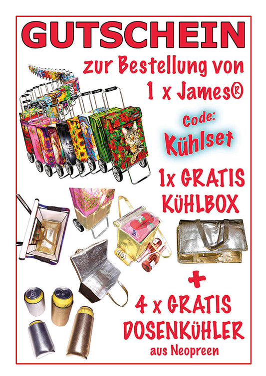 Gutschein next Order: Kühlset!