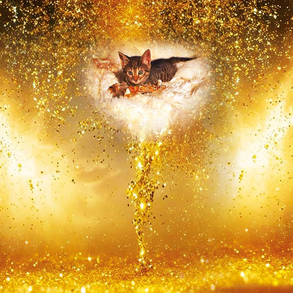 Das Buch: Sombali - Prinz von Mus-Cat