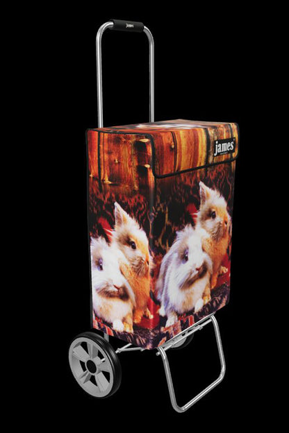 Bunny-James®